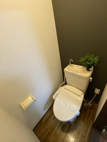 トイレ　トイレも気になるポイント