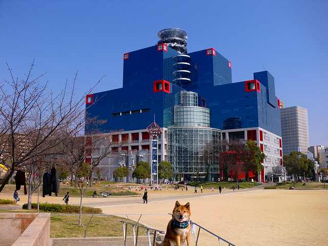 公園　扇町公園（公園）まで940m