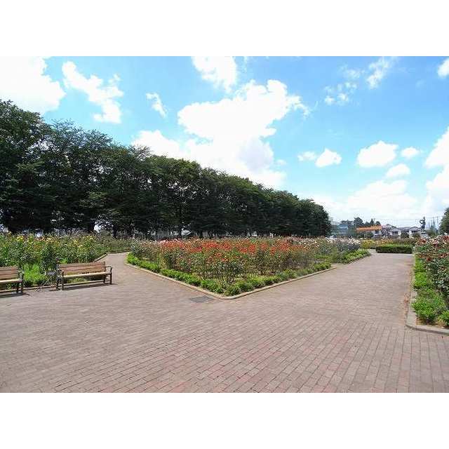 公園　与野公園（公園）まで160m