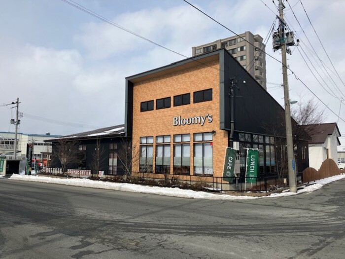 その他　ブルーミーズ南栄町店（170ｍ）