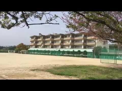 中学校　秋月中学校（中学校）まで744m