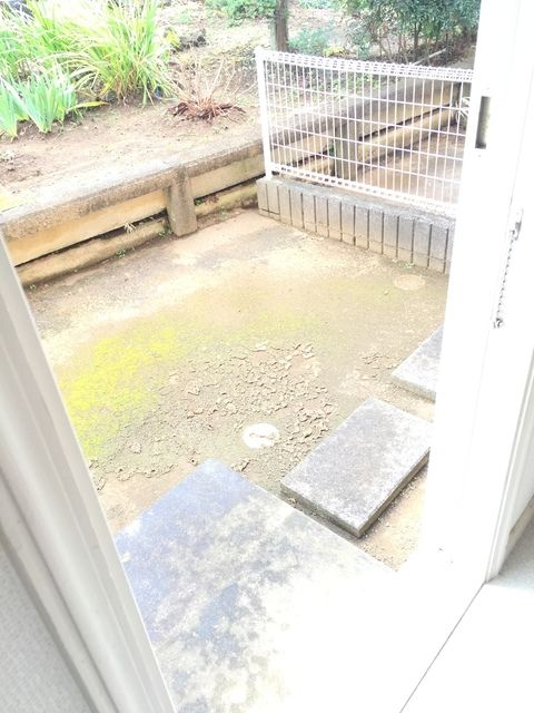 庭