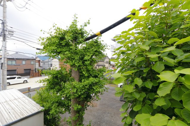 眺望