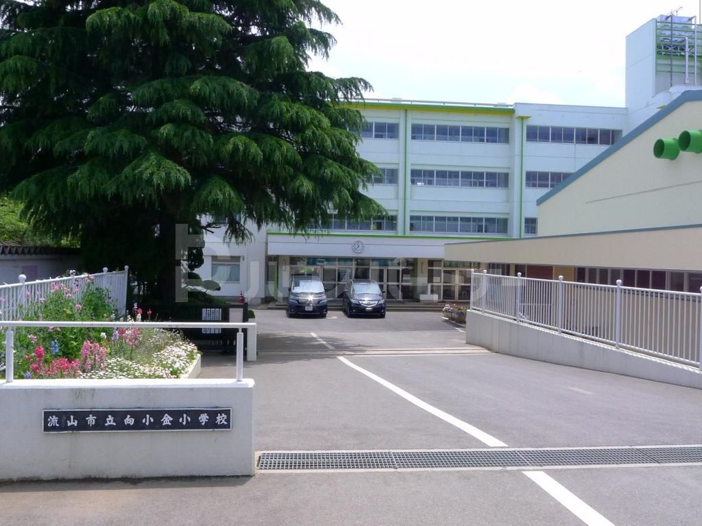 小学校　流山市立向小金小学校（小学校）まで510m