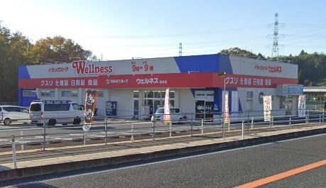 ドラックストア　ドラッグストアウェルネス 馬潟店（ドラッグストア）まで707m