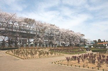 公園　与野公園（公園）まで577m