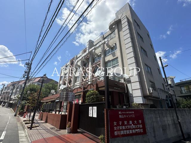 大学・短大　私立女子栄養大学短期大学部（大学・短大）まで411m