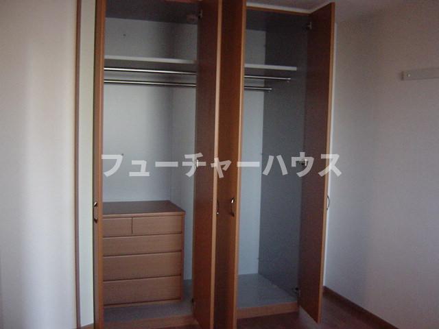 Peaceful forestのその他写真