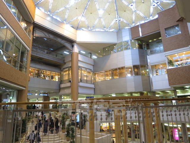 スーパー　宝塚阪急（スーパー）まで820m