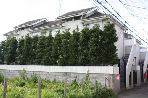 建物外観　南向きで日当たり良し。