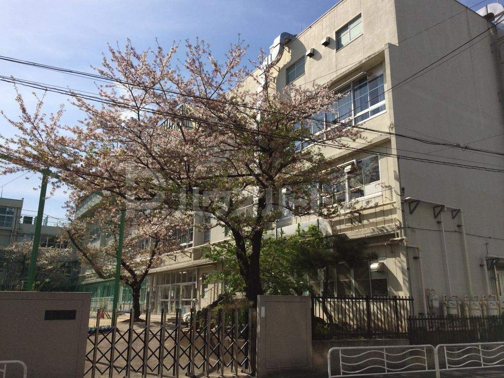小学校　江東区立八名川小学校（小学校）まで40m