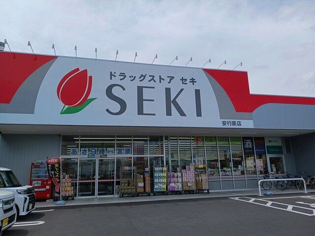 ドラックストア　ドラッグストアセキ（ドラッグストア）まで493m