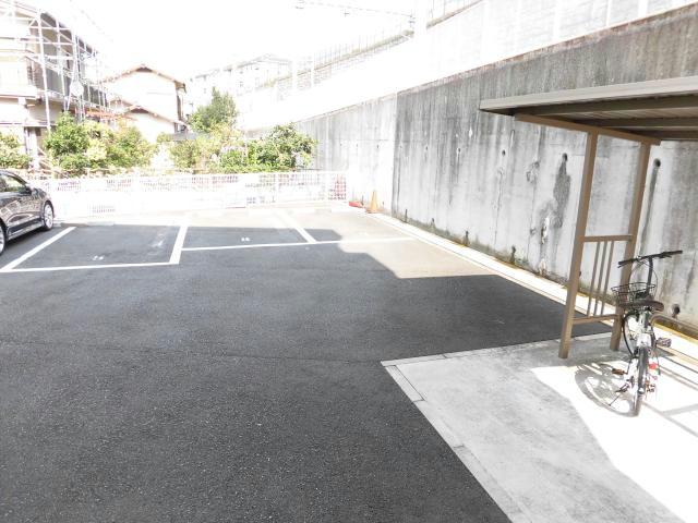 ラフィシアのその他写真