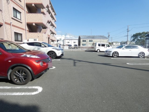 インターラーゲンのその他写真