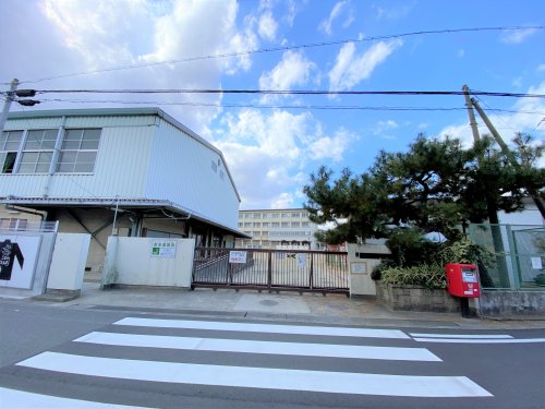 【アロンゾ鳳の小学校】