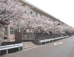 中学校　網干中学校（中学校）まで615m