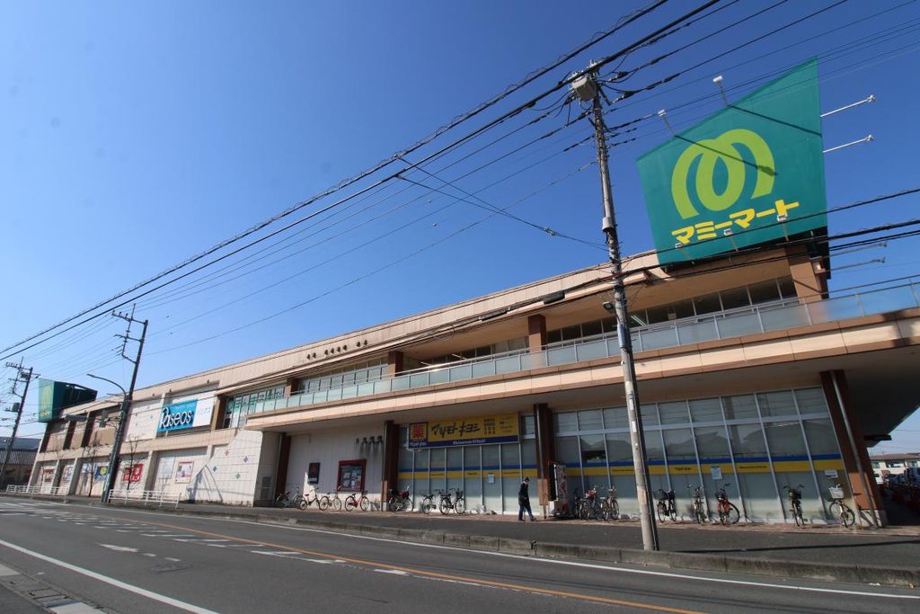 スーパー　マミーマート岩槻店（スーパー）まで1020m