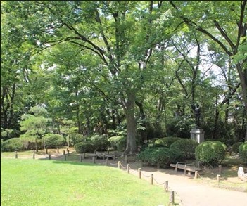 公園　蕨城址公園（公園）まで599m