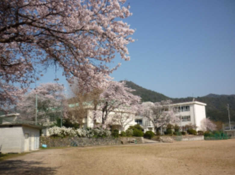 中学校　鶴居中学校（中学校）まで1906m