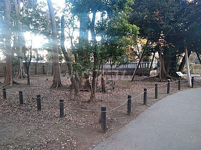 【アズーロ松陰神社の公園】