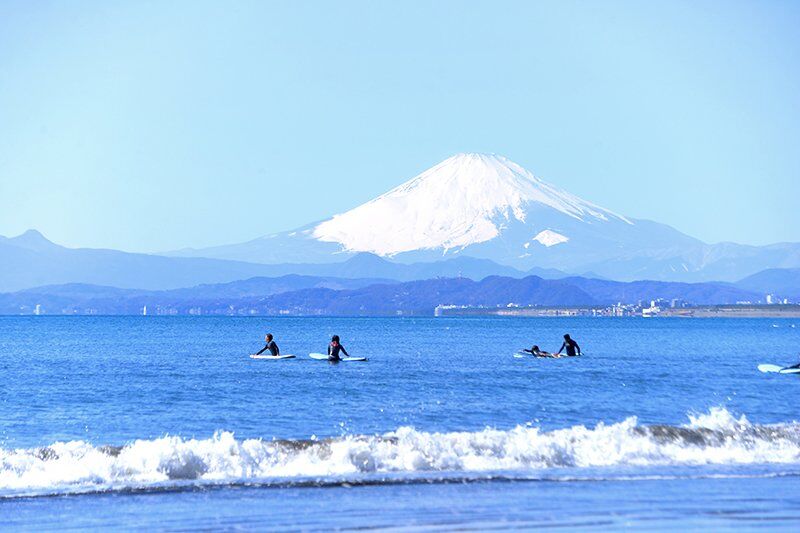 【ドッグガーデンリゾート湘南江ノ島の公園】