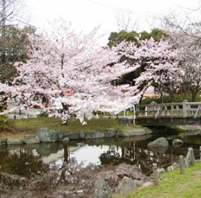 【クレヴィスタ北綾瀬の公園】