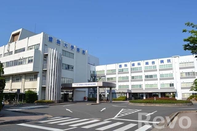 【福岡市早良区賀茂のマンションの大学・短大】