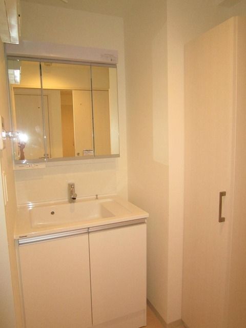 その他　洗面所に収納有り