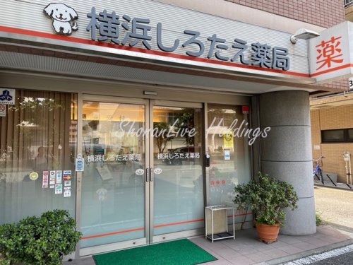 病院　横浜しろたえ薬局（病院）まで450m