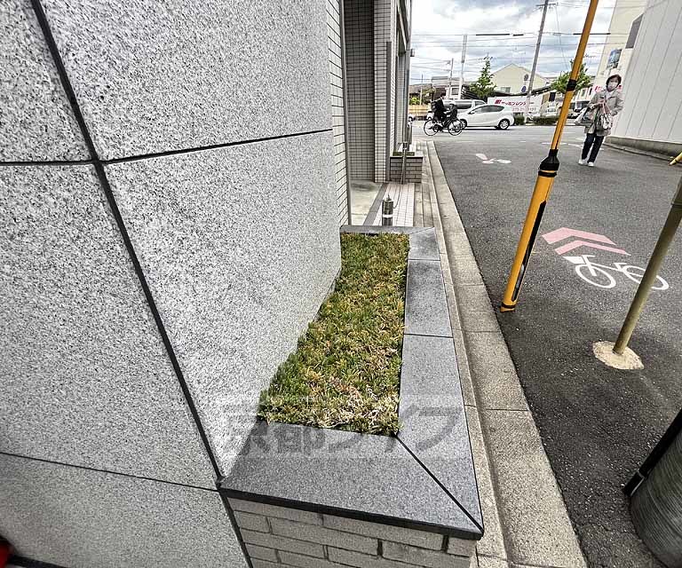 庭