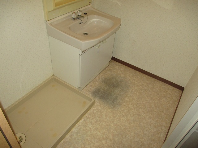 洗面設備　独立洗面台と室内洗濯機置き場です