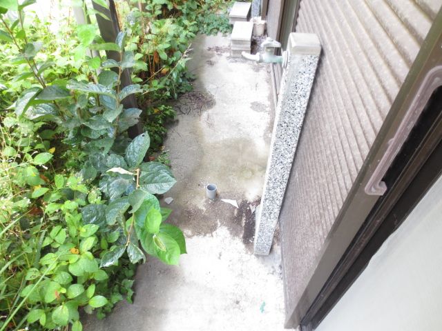 庭