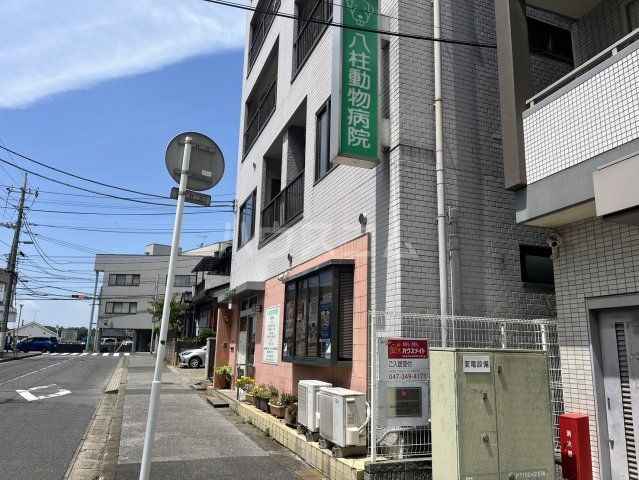 病院　八柱動物病院（病院）まで325m