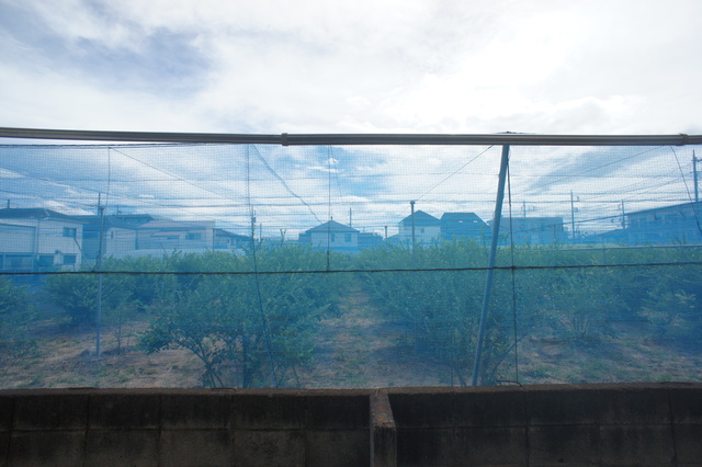 眺望　お部屋からの景色です！