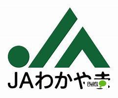 銀行　ＪＡわかやま雑賀支店（銀行）まで898m