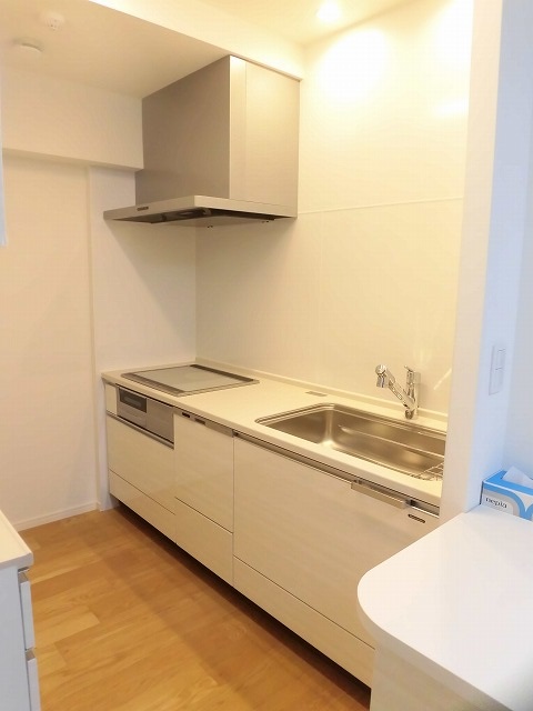 キッチン　IHクッキングヒーター付・食洗機付きのシステムキッチン