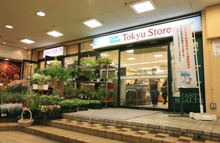 スーパー　東急ストア菊名店（スーパー）まで589m