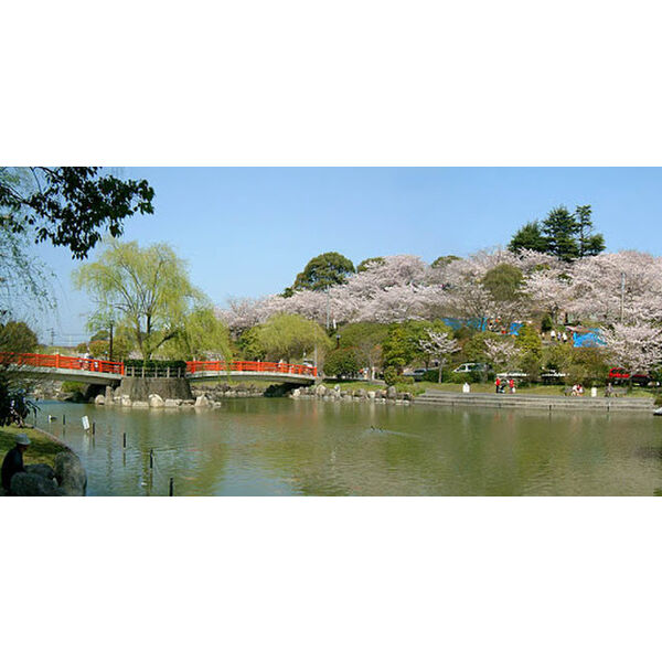 公園　勝盛公園（公園）まで1500m