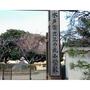 小学校　水戸市立三の丸小学校（小学校）まで1200m