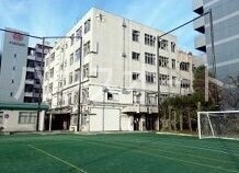 中学校　文京区立本郷台中学校（中学校）まで224m