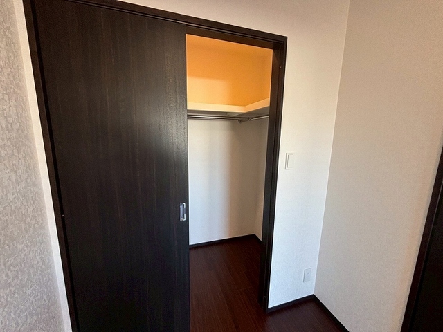 収納　ウォークインクローゼット