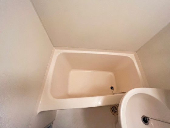 バス・シャワールーム　※別部屋の写真です