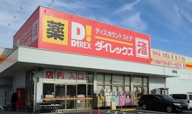 その他　ダイレックス明神店（その他）まで1000m