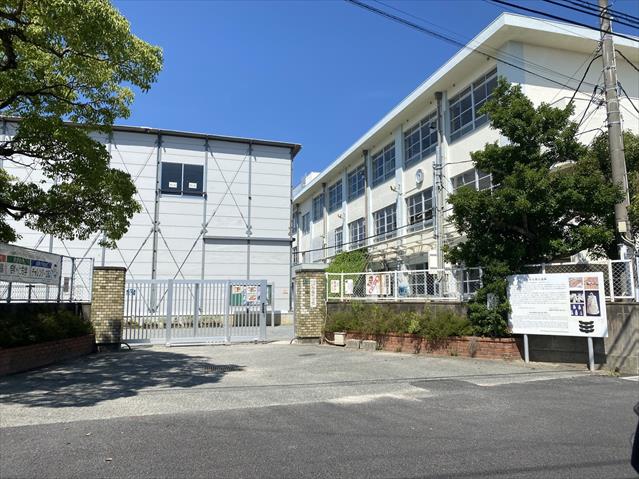 小学校　福岡市立小学校今宿小学校（小学校）まで499m