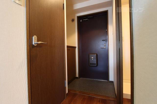 玄関　３０２号室の写真です。