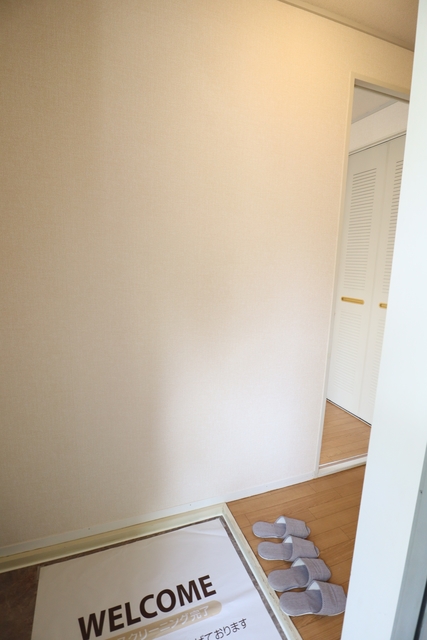 玄関　※同物件別部屋写真です。現況優先です