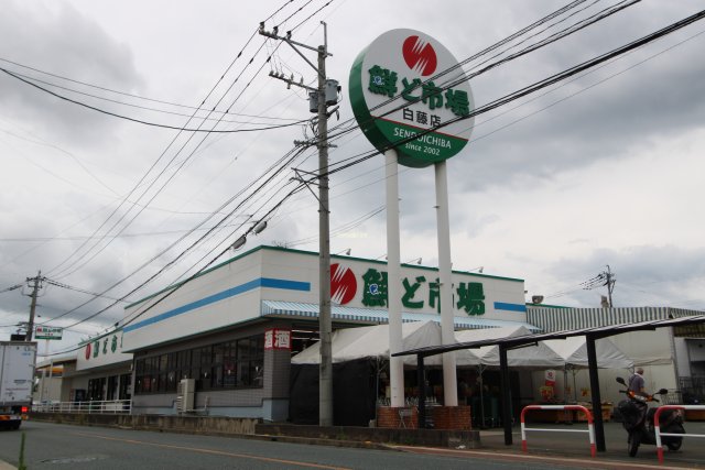 ショッピングセンター　鮮ど市場白藤店（ショッピングセンター）まで1154m