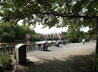 公園　善福寺公園（公園）まで1100m