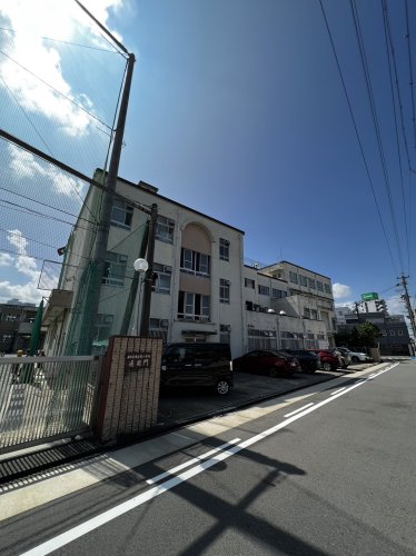 小学校　名古屋市立榎小学校（小学校）まで544m