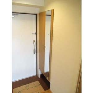 玄関　※別号室の参考写真になります。